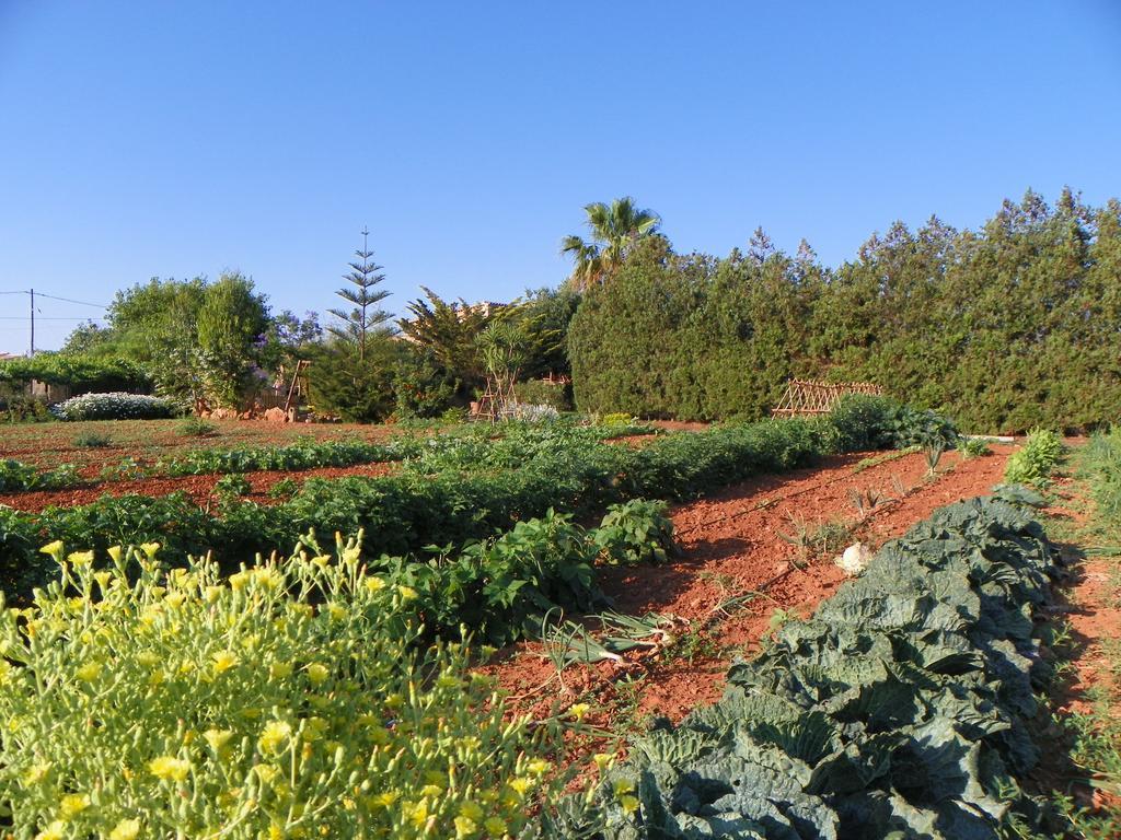 Agroturisme Can Bessol S'Horta Экстерьер фото